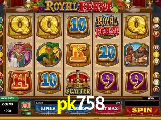 Flash Promotion pk758